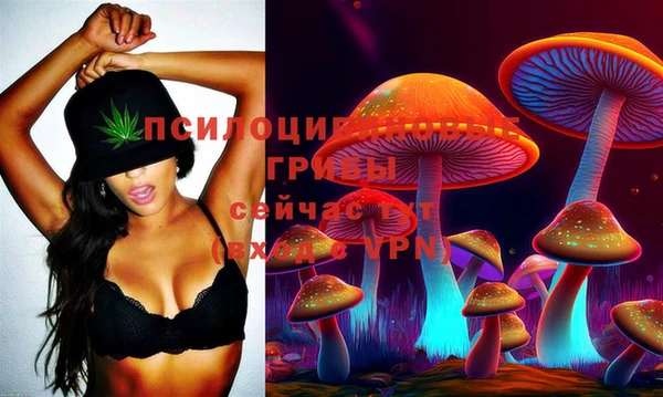герыч Аркадак