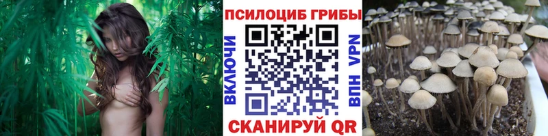 Галлюциногенные грибы прущие грибы  Кубинка 