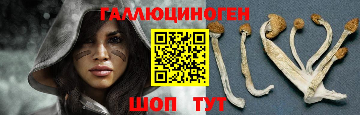 Галлюциногенные грибы GOLDEN TEACHER  Вход с VPN  Псилоцибиновые грибы Psilocybe  Кубинка 