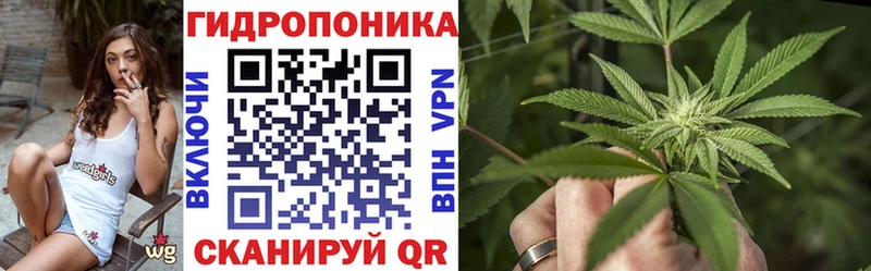 что такое   Кубинка  Марихуана гибрид 